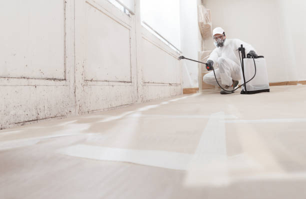 24/7 Emergency Mold Remediation experts in Goldston, NC